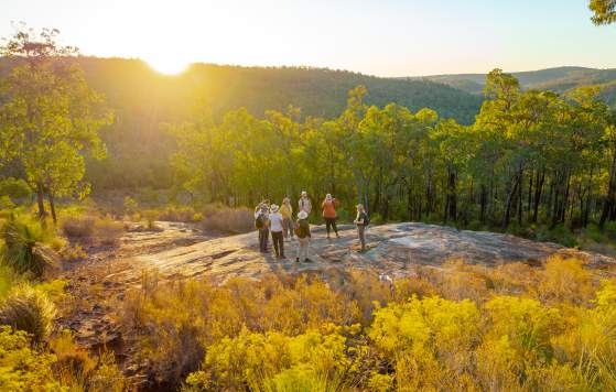 Hiking near Mundaring with The Hike Collective, Perth Hills