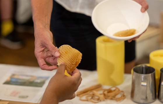 Beeswax Candle Making & Mead Evening