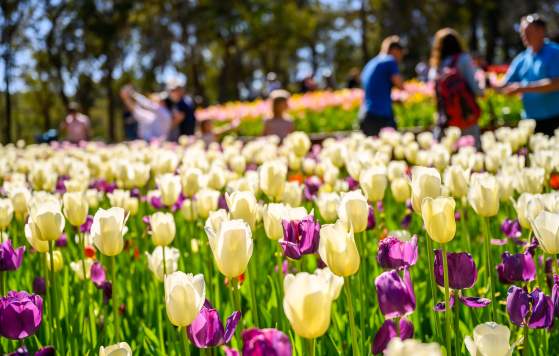 Araluen Botanic Park