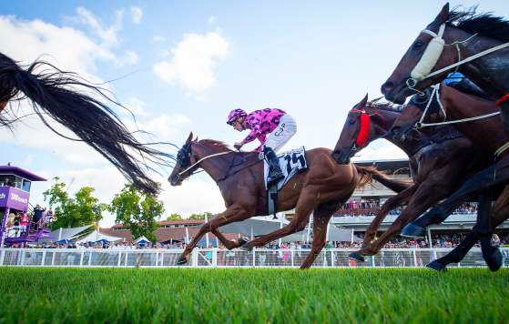 Ascot Summer Racing