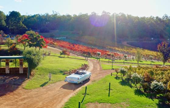 Bickley Harvest Festival Wine & Art Trail
