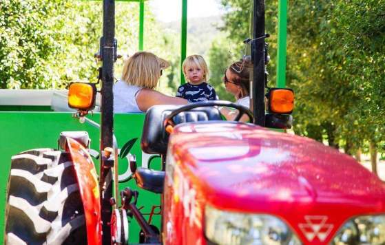 Bickley Harvest Festival