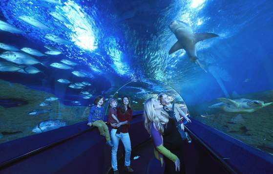 AQWA - The Aquarium of Western Australia