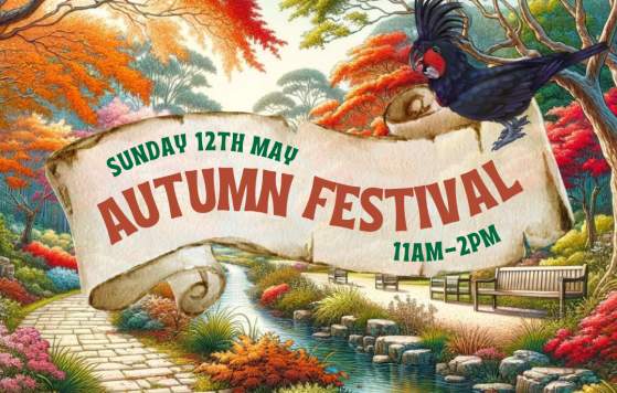 Mothers Day - Autumn Festival