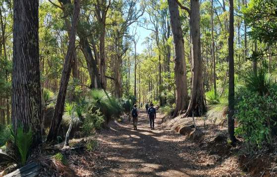 Dwellingup Adventure Trails