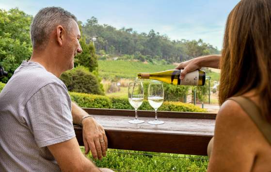 Sip in Style: VIP Private Wine Tours From Perth