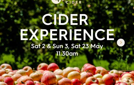 Bickley Harvest Festival Cider Experience