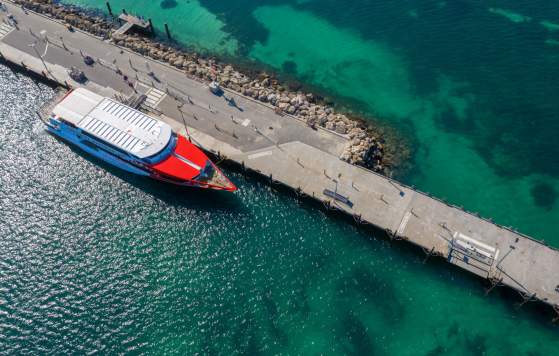 15% Off Winter On Rotto With Rottnest Express