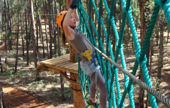 Get Your Adrenaline Fix at Treetops Adventures