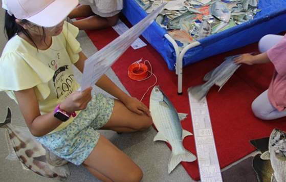 Free Sustainable Fishing Activity for Kids: Mandurah Visitor Centre