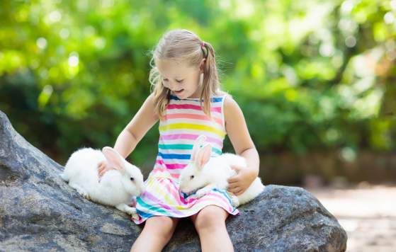 Cosy Up at the Cuddly Animal Farm &#8211; Save 20% This Winter!