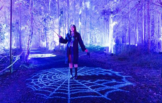 Harry Potter: A Forbidden Forest Experience