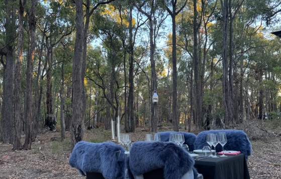 Degustation Under the Stars at Amaroo Retreat & Spa