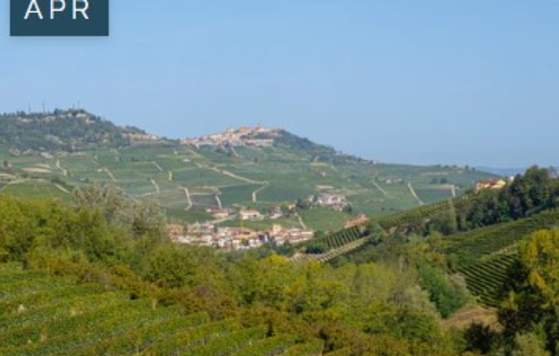 Introduction to Italian Wine - Week Three - Piedmont