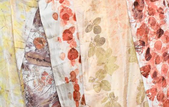 Introduction to Botanical Printing | Linda Penny