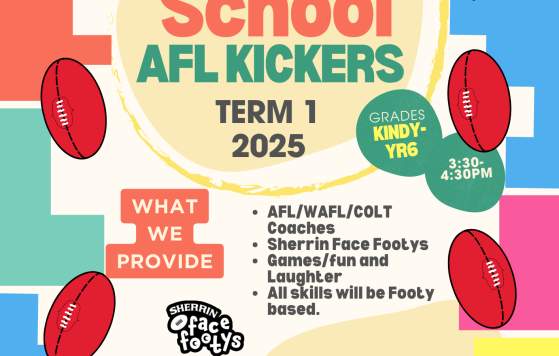 AFL Footy Clinics