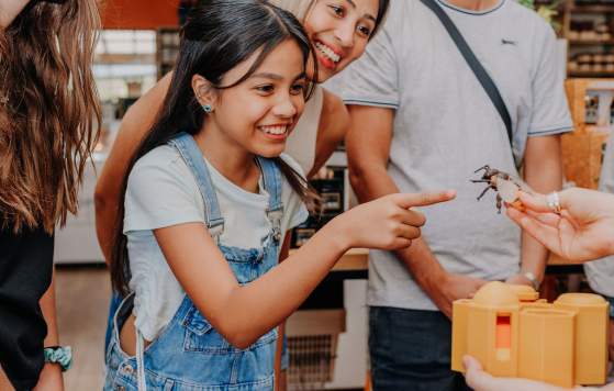 The Honey Bee Tour