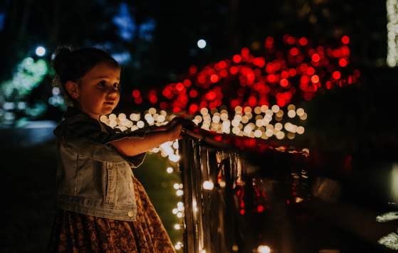 The Magic of Christmas