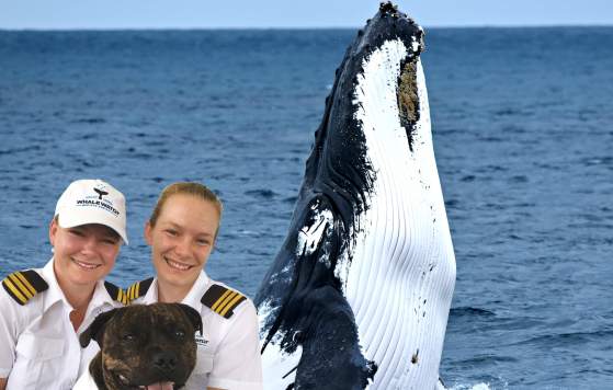 Whale Watch Western Australia