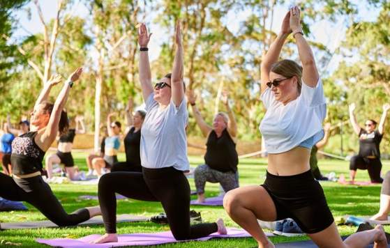 Move, Stretch and Sweat