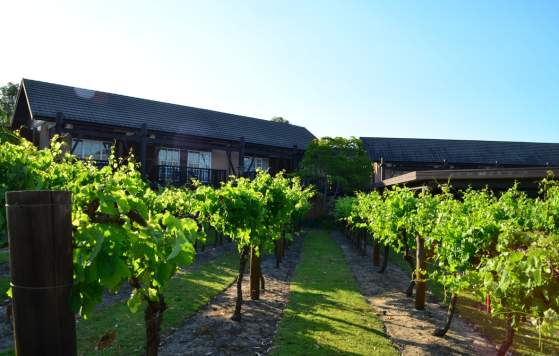 Novotel Vines Resort Swan Valley