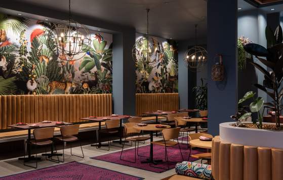 Street Food & Pisco: A South American Experience at UMA