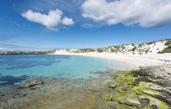 Rottnest Fast Ferries eGift Card