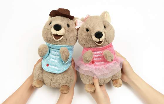 Gift a Blessimo Quokka Plushie