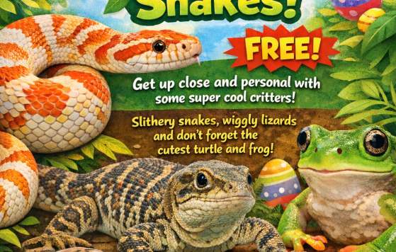 Reptiles & Snakes Easter Edition
