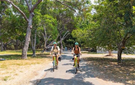 Bring your bike to Rotto for free!
