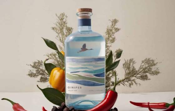 Chilli & Distillery Festival by Araluen Estate
