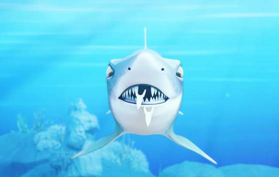 Shark Month at AQWA