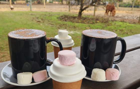 Babycino Bonus at Swan Valley Station