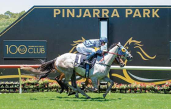 TABtouch Pinjarra Cup Raceday