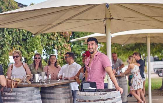 d'Vine Wine Tours