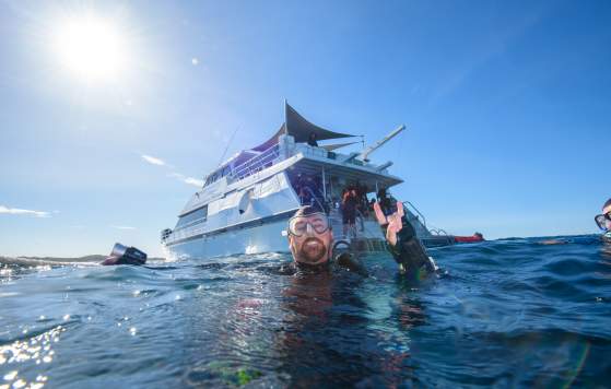 Blue Destiny Boat Charters