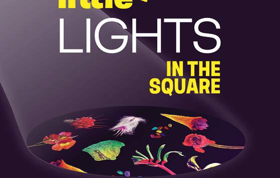 Little Lights in the Square