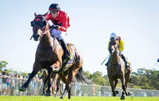 Toodyay Picnic Races