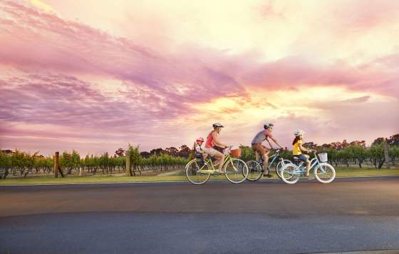 Cycling in the Swan Valley