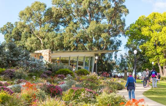 Kings Park, Photo by Jason Thomas