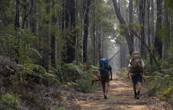 Hike the Bibbulmun Track, Perth Hills