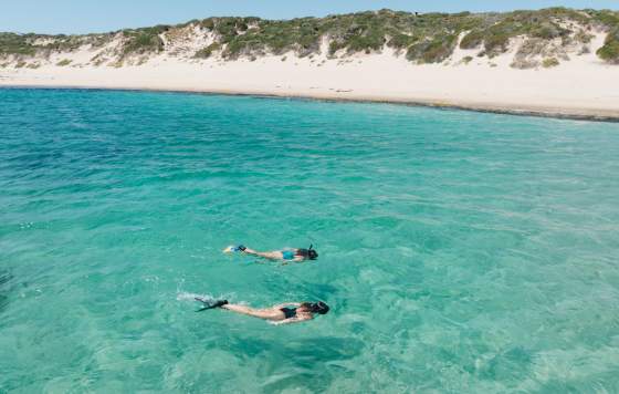 Snorkelling in Rockingham