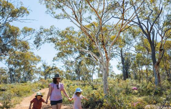 Toodyay Wildflower Wongamine Nature Reserve