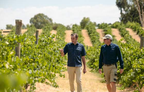 Swan Valley Fine Wine Trail