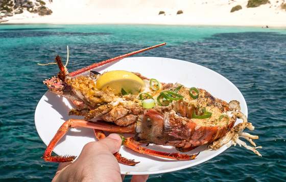 Rottnest Cruises