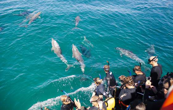 Shoalwater Islands Marine Park