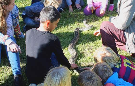 Armadale Reptile Centre