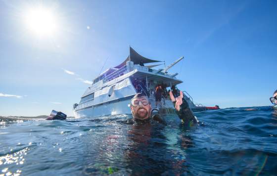 Blue Destiny Boat Charters