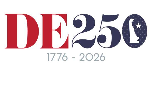 DE 250 Logo