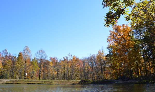Locust Shade Park